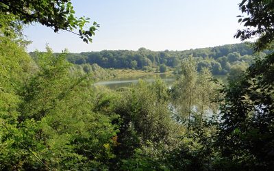 Exkursion „Am Hornpottweg“