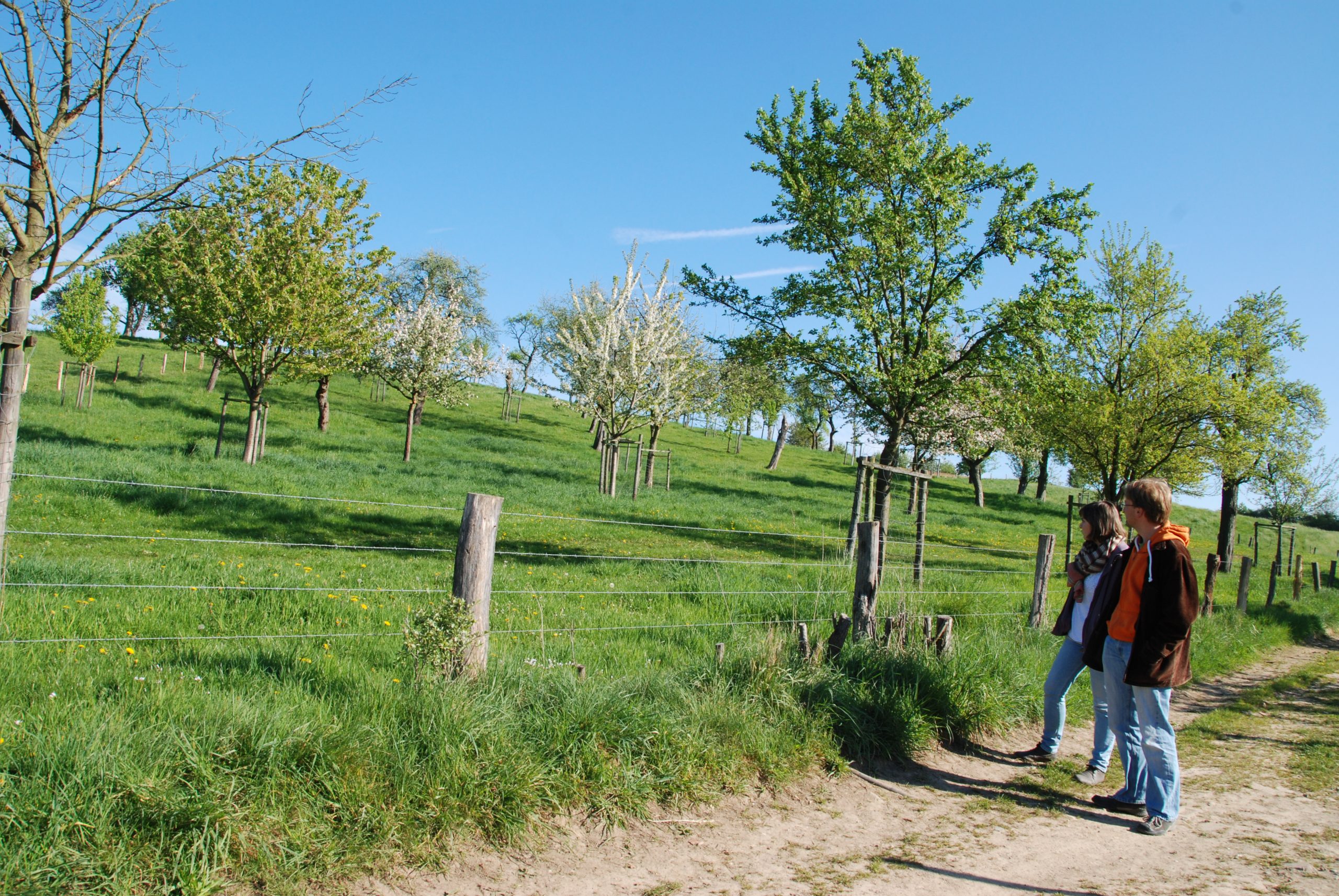 Pomologische Wanderung